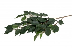 artificial-ficus-exotica-41