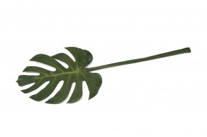 artificial-monstera-leaf-41.
