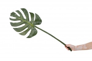 artificial-monstera-leaf-41.