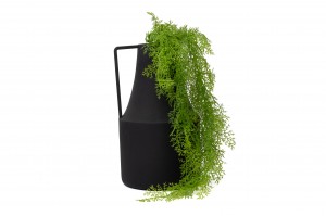 artificial-mini-hanging-asparagus-41.