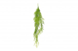 artificial-mini-hanging-asparagus-41.