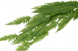 artificial-large-hanging-fern-41