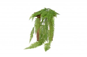 artificial-large-hanging-fern-41.