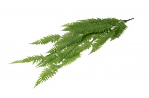 artificial-large-hanging-fern-41.