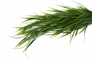 artificial-hanging-bamboo-41