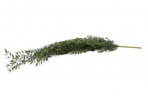 artificial-hanging-ruscus-41.