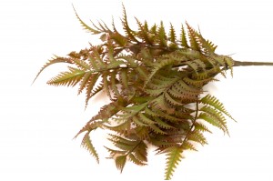 artificial-fern-pick-41.