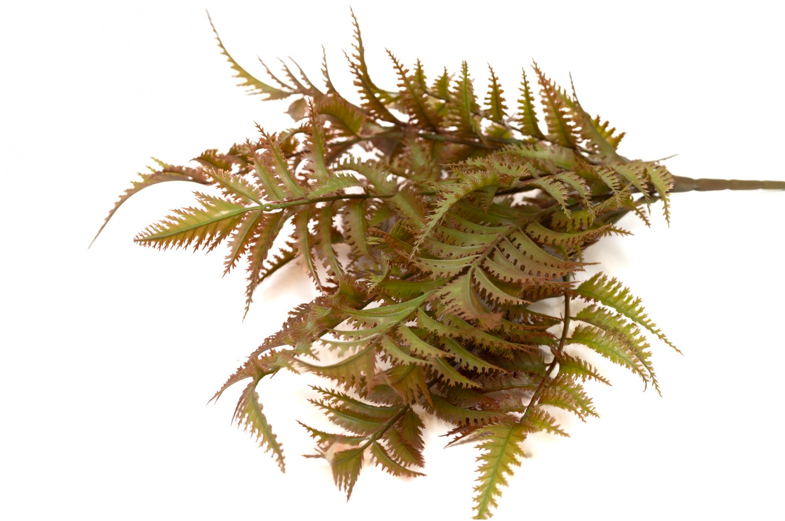 Artificial Fern Pick (41) artificial-fern-pick-41
