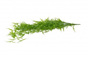 artificial-mini-hanging-bamboo-41.