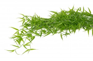 artificial-mini-hanging-bamboo-41