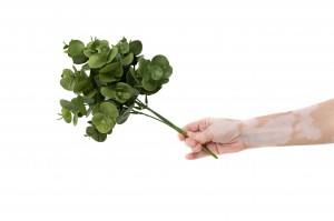 artificial-eucalyptus-pick-41.
