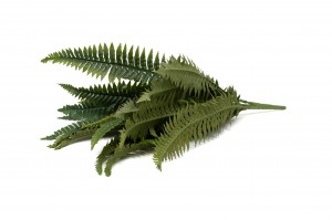 artificial-fern-pick-42.