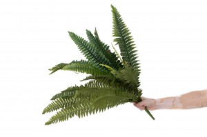 artificial-fern-pick-42.