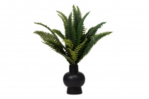 artificial-fern-pick-42.