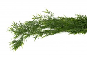 artificial-mini-hanging-bamboo-42