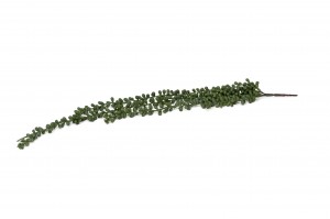 artificial-hanging-senecio-42.