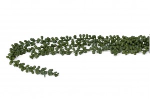 artificial-hanging-senecio-42