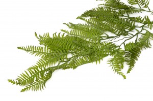 artificial-fern-hanging-42