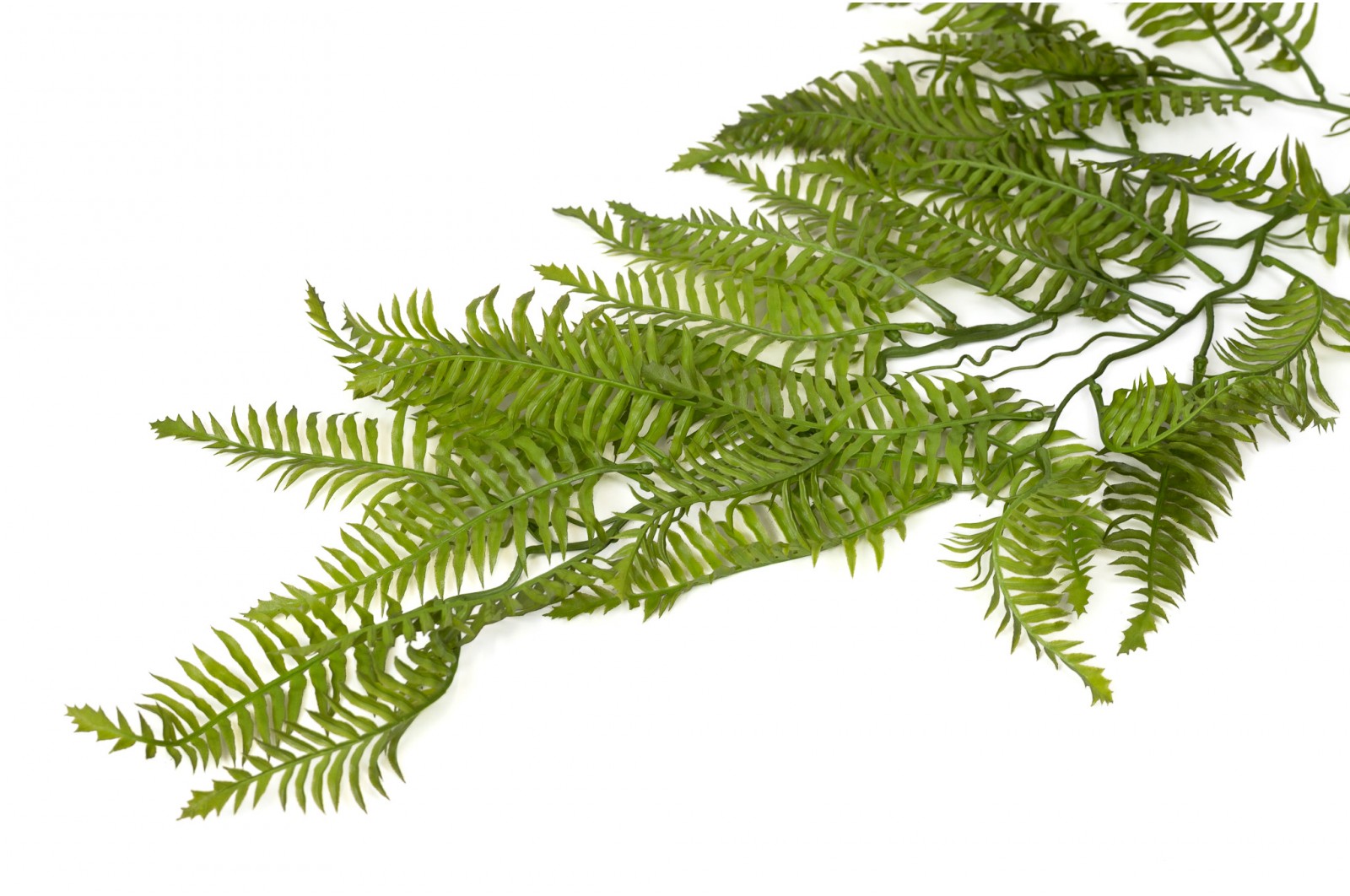 Artificial Fern Hanging (42) artificial-fern-hanging-42