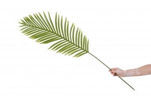 feuille-de-palm-phoenix-artificielle-42.