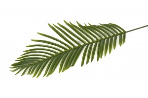artificial-phoenix-palm-leaf-42