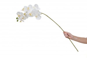 artificial-orchid-42.