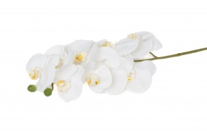 artificial-orchid-42.