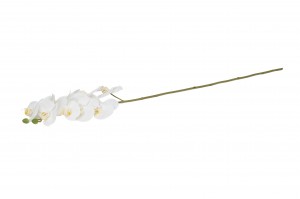 artificial-orchid-42.