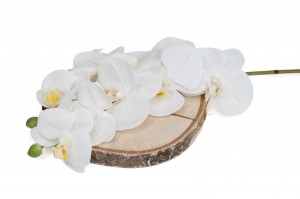 orchidee-artificielle-42