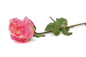 artificial-rose-42.