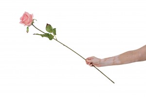 artificial-rose-42.