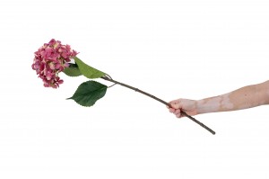 hortensia-artificiel-42.