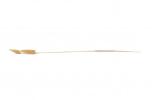 dried-lagurus-11.