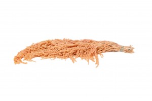 preserved-amaranthus-8.