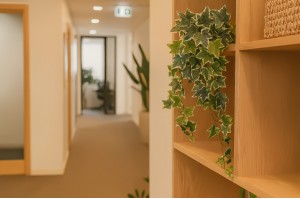artificial-ivy-hanging-40.
