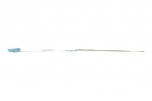 getrockenete-lagurus-12.