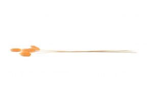 getrockenete-lagurus-12.