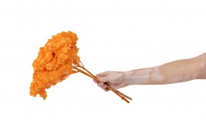 hortensia-stabilise-anna-19.