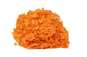 hortensia-stabilise-anna-19.