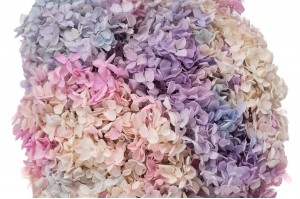 preserved-hydrangea-anna-19.