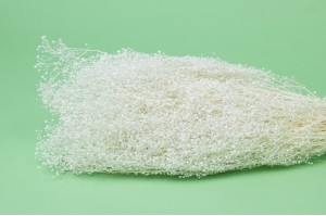 stabilisiertes-mini-gipskraut-8