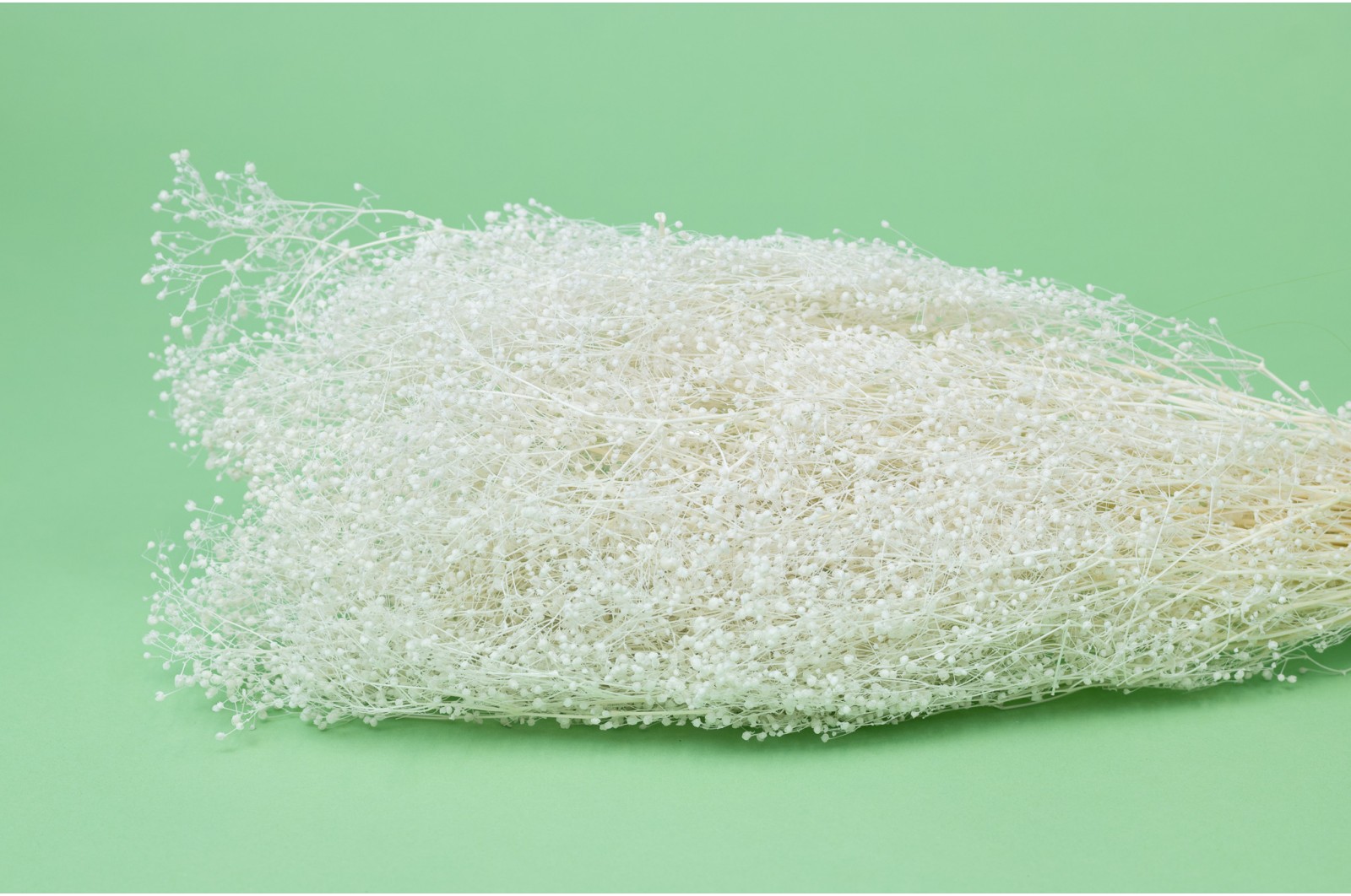 stabilisiertes-mini-gipskraut-8