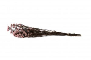 stabilisierte-diosmi-8.