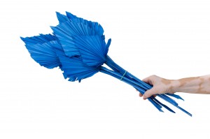 palm-spear-seche-8.