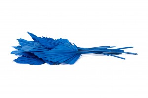 palm-spear-seche-8.