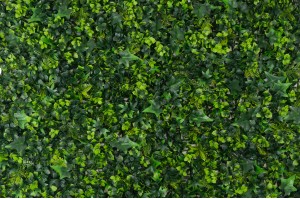 artificial-ivy-single-species-panels-43.