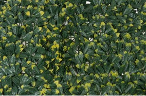 artificial-cherry-laurel-single-species-panels-43.