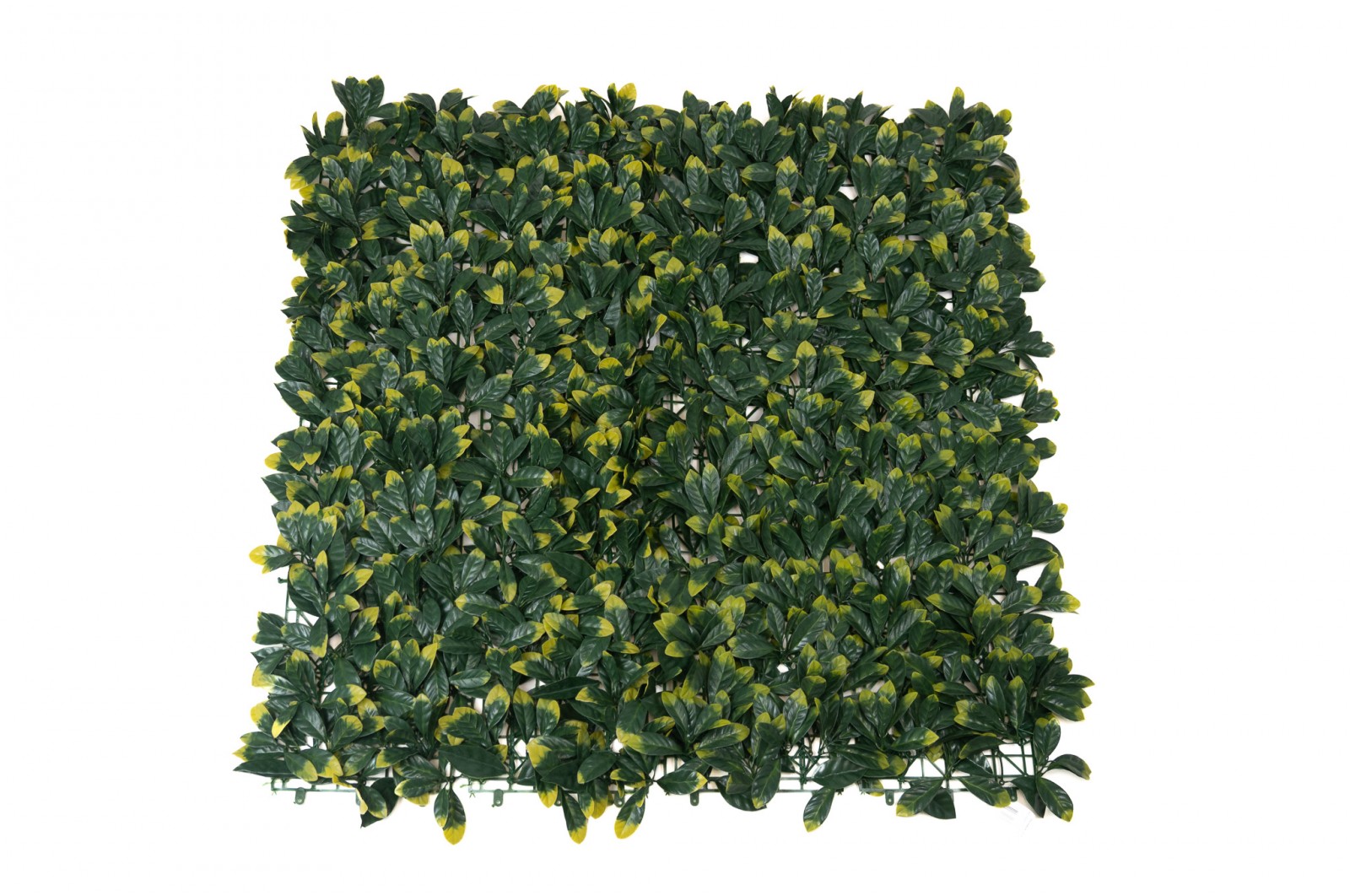 Artificial Cherry Laurel Single-Species Panel (43) artificial-cherry-laurel-single-species-panels-43