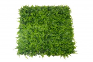artificial-fern-single-species-panel-43