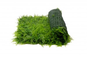 artificial-fern-single-species-panel-43.